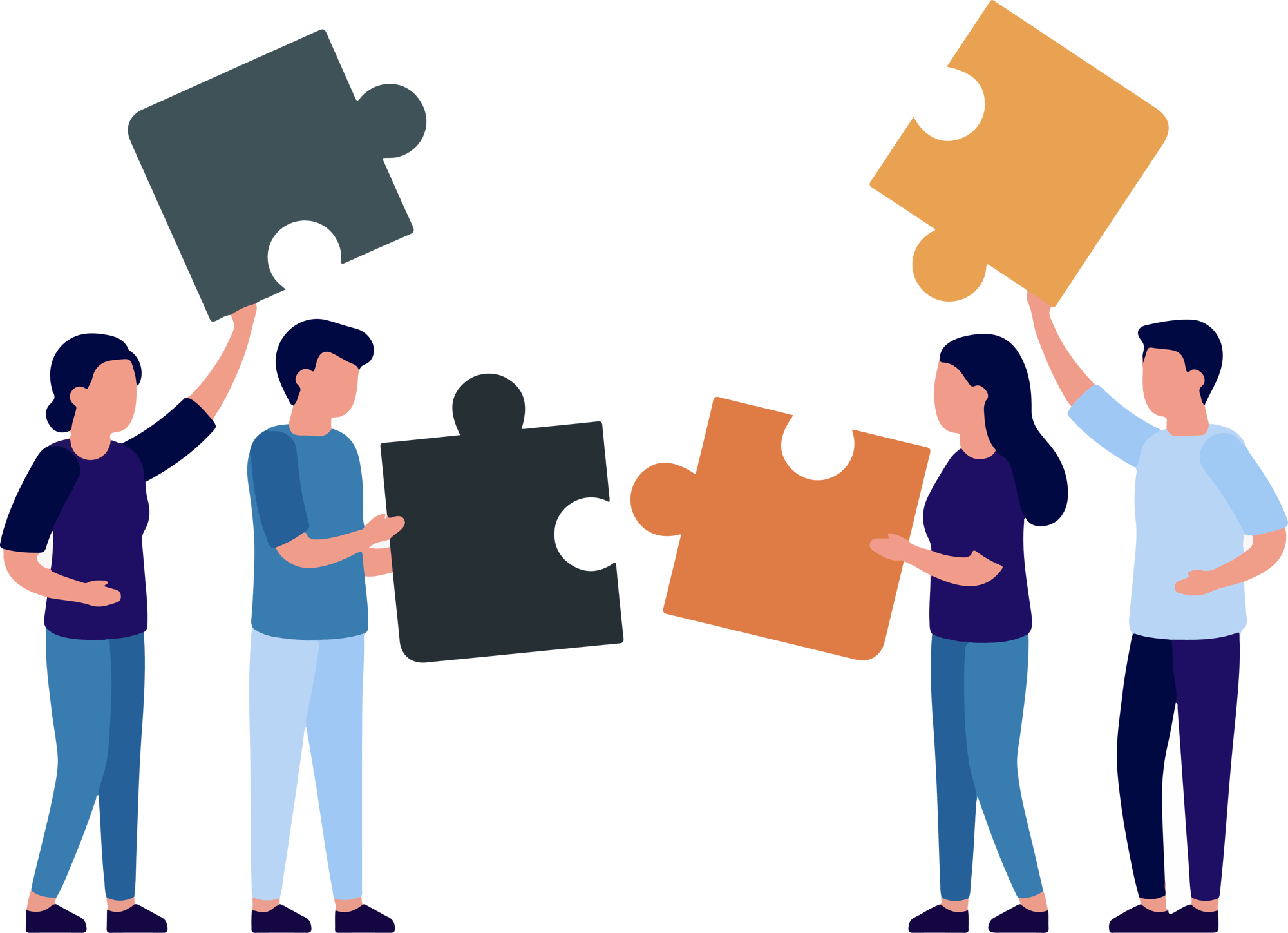 gestion de portefeuille de projets PPM