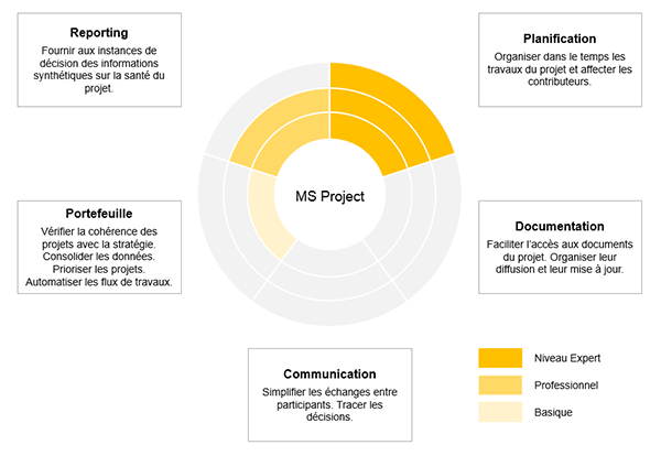 ms project