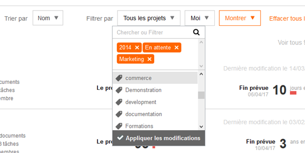 filtre-projets-tags-planzone.png