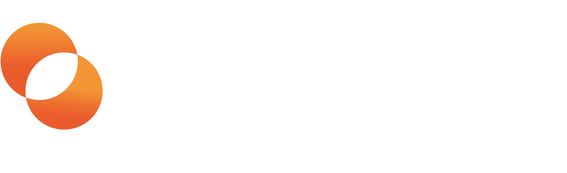 Logotype-Planzone-2021-white (1)